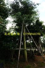 所有产品